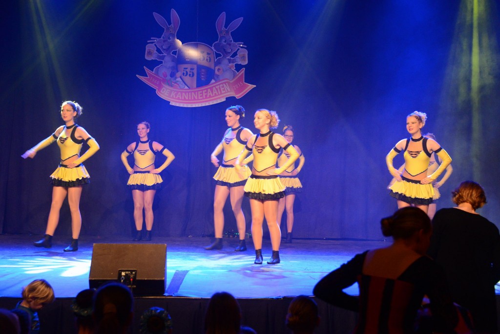 ../Images/Dansmarieke festival 2015 192.jpg